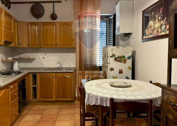 Cucina - Appartamento Via Ercole
 
13, Fornelli - foto 23