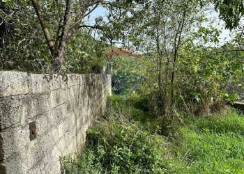 Giardino - Casa indipendente Colle Macchia
 
13, Filignano - foto 60