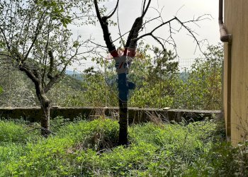 Giardino - Casa indipendente Colle Macchia
 
13, Filignano - foto 61