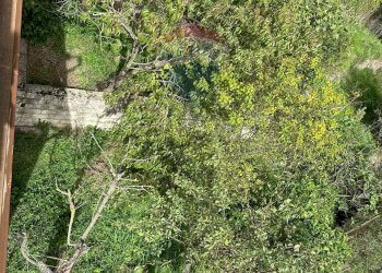 Giardino - Casa indipendente Colle Macchia
 
13, Filignano - foto 91