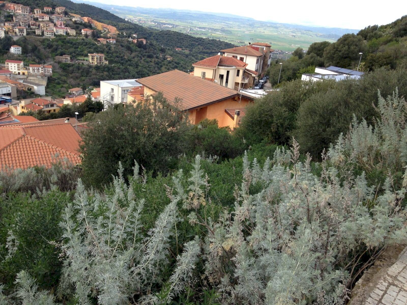 Foto 1 - Terreno edificabile LOCALITA' PALATU
 
SNC, Ozieri - foto 1