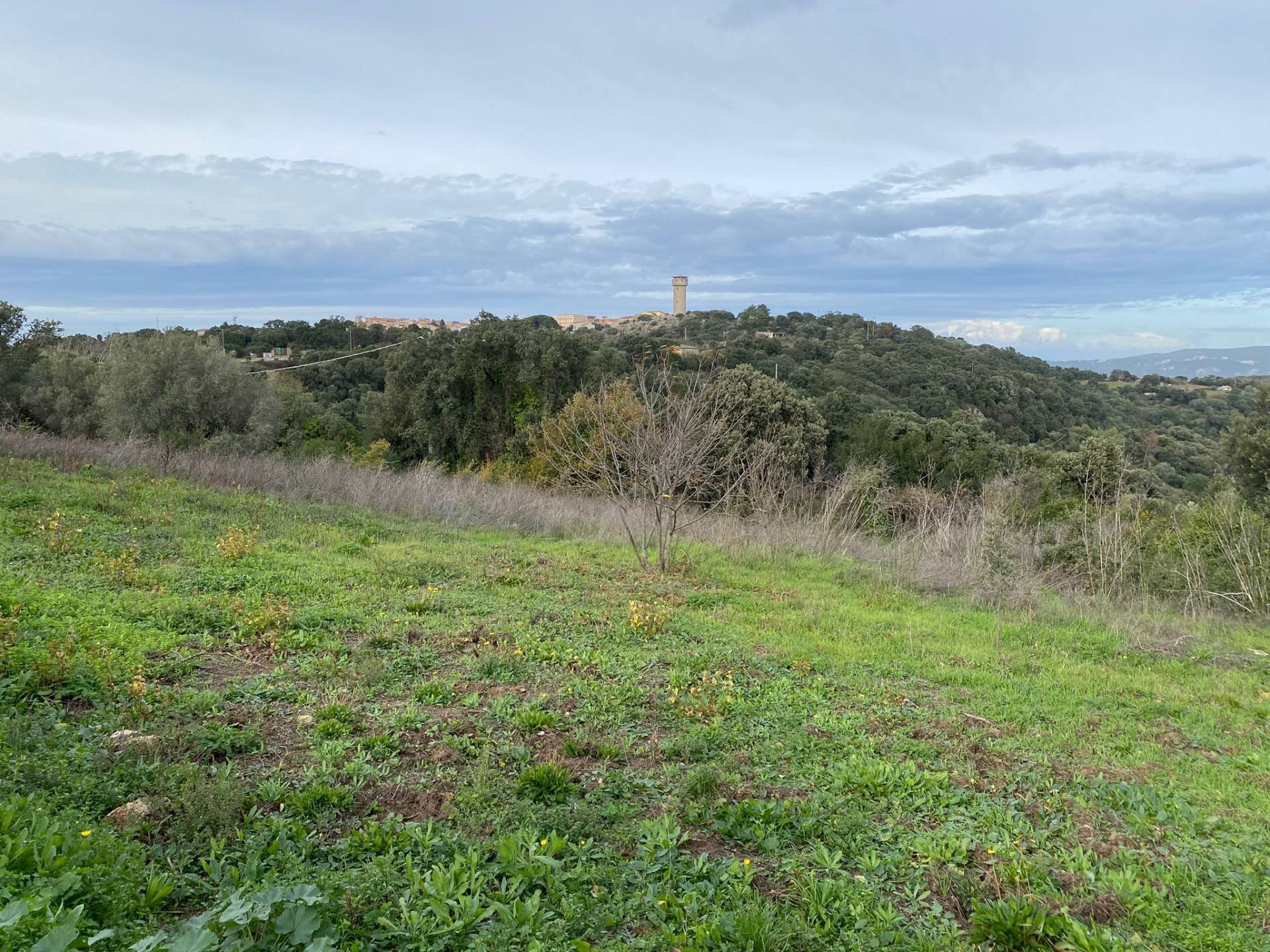 Foto 3 - Casa indipendente Via Luras - Loc. Toveddu
 
11, Luras - foto 3