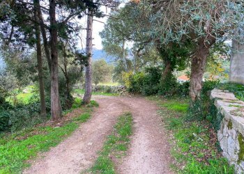 Foto 1 - Casa indipendente Via Luras - Loc. Toveddu
 
11, Luras - foto 1