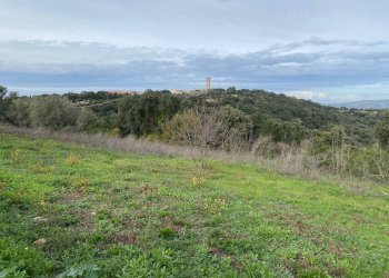 Foto 3 - Casa indipendente Via Luras - Loc. Toveddu
 
11, Luras - foto 3