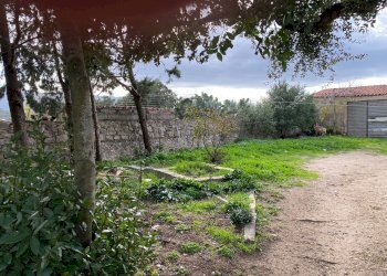 Foto 5 - Casa indipendente Via Luras - Loc. Toveddu
 
11, Luras - foto 5