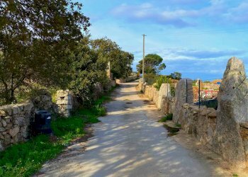 Foto 6 - Casa indipendente Via Luras - Loc. Toveddu
 
11, Luras - foto 6