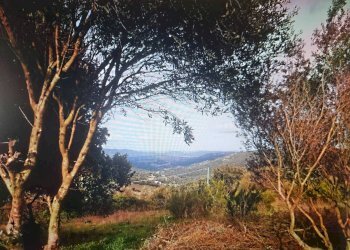 Foto 7 - Casa indipendente Via Luras - Loc. Toveddu
 
11, Luras - foto 7