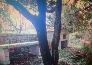 Foto 8 - Casa indipendente Via Luras - Loc. Toveddu
 
11, Luras - foto 8