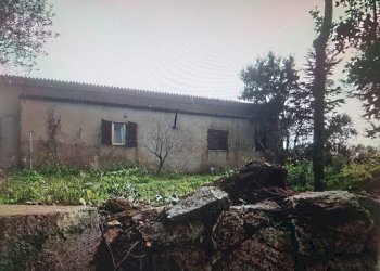 Foto 9 - Casa indipendente Via Luras - Loc. Toveddu
 
11, Luras - foto 9