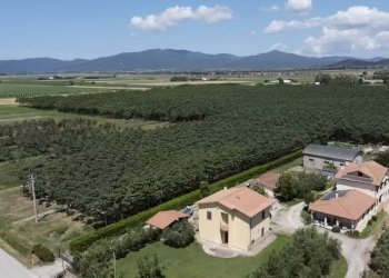 Foto 2 - Villa strada squadre 1, Grosseto - foto 2