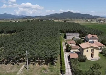 Foto 25 - Villa strada squadre 1, Grosseto - foto 25