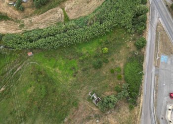 Foto 5 - Terreno agricolo LOCALITA' SAS PEDRAS FRITTAS
SNC, Ozieri - foto 5