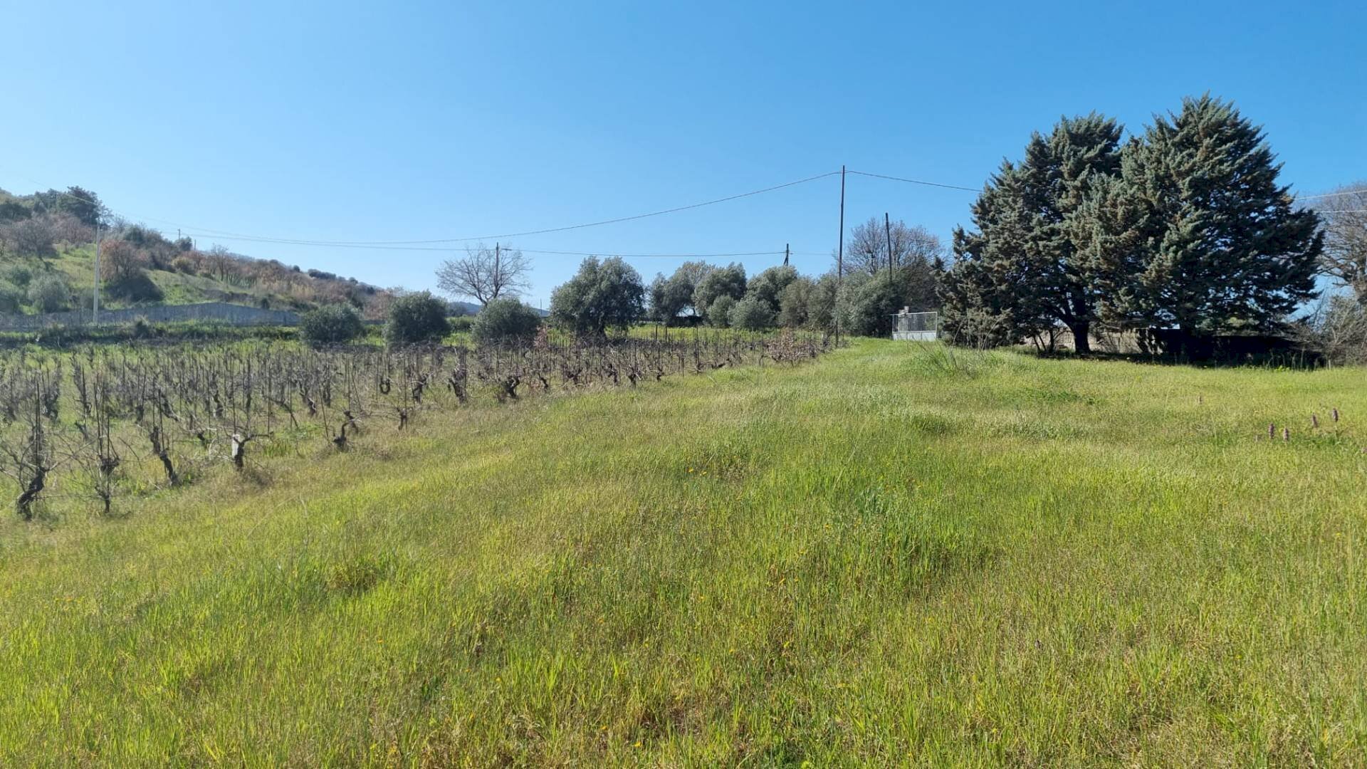 Foto 2 - Rustico Localita' Casiddone
 
SNC, Ozieri - foto 2