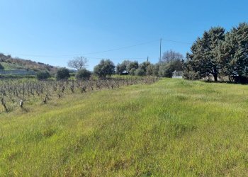 Foto 2 - Rustico Localita' Casiddone
 
SNC, Ozieri - foto 2