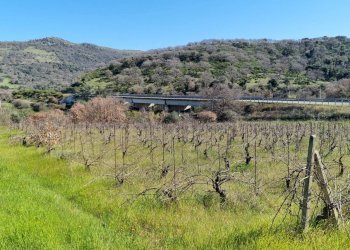 Foto 4 - Rustico Localita' Casiddone
 
SNC, Ozieri - foto 4