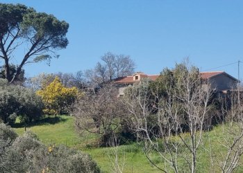 Foto 7 - Rustico Localita' Casiddone
 
SNC, Ozieri - foto 7