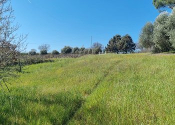 Foto 10 - Rustico Localita' Casiddone
 
SNC, Ozieri - foto 10