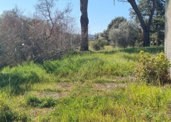 Foto 11 - Rustico Localita' Casiddone
 
SNC, Ozieri - foto 11