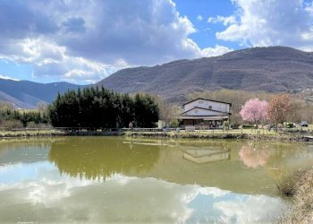 Foto 1 - Commercial Activity Via Sant'Andrea
snc, Scoppito - photo 1