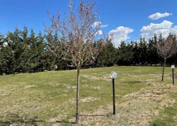 Foto 20 - Commercial Activity Via Sant'Andrea
snc, Scoppito - photo 20