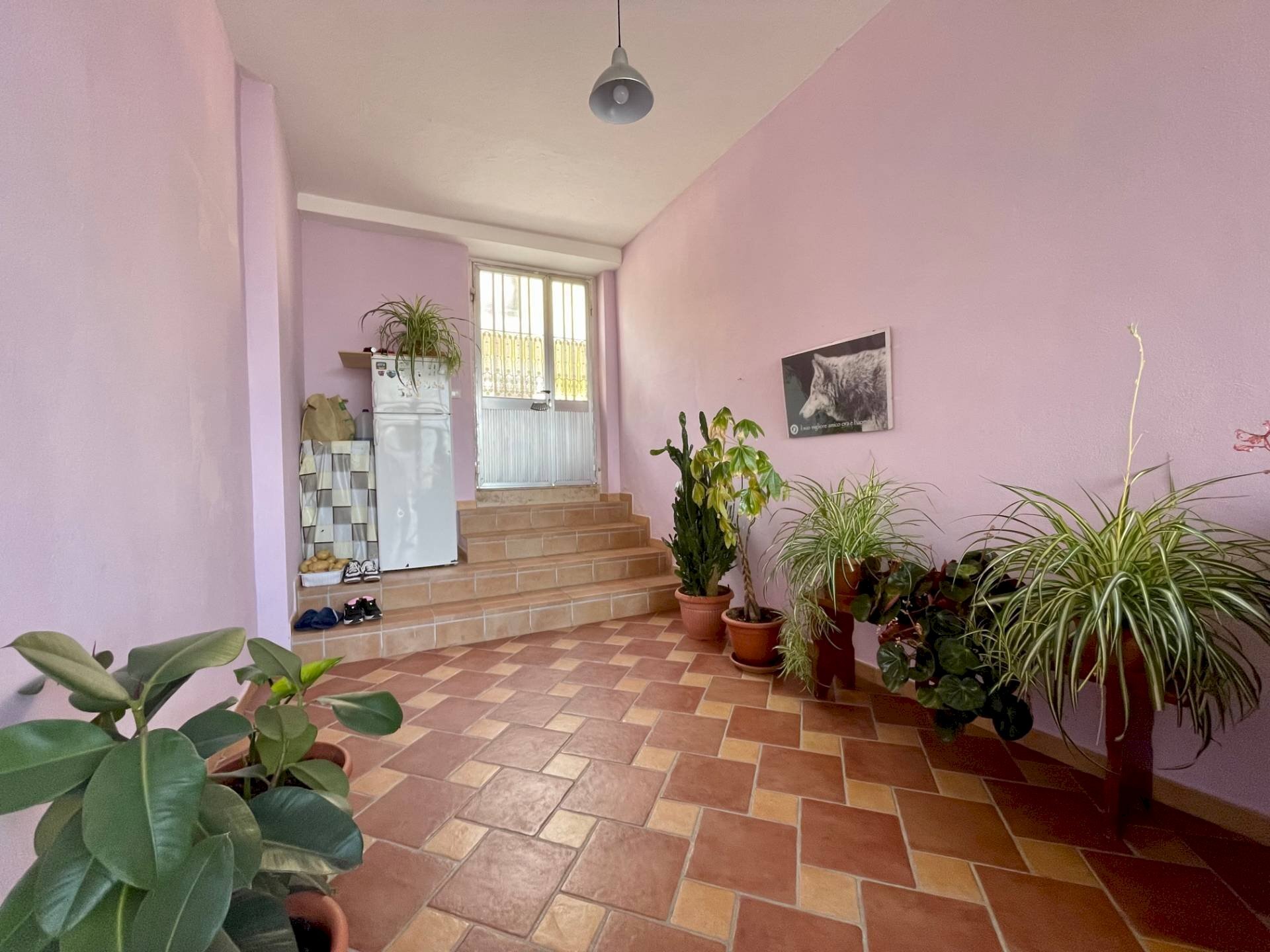 Foto 3 - Rustico Via Carapelle
 
snc, San Pio delle Camere - foto 3