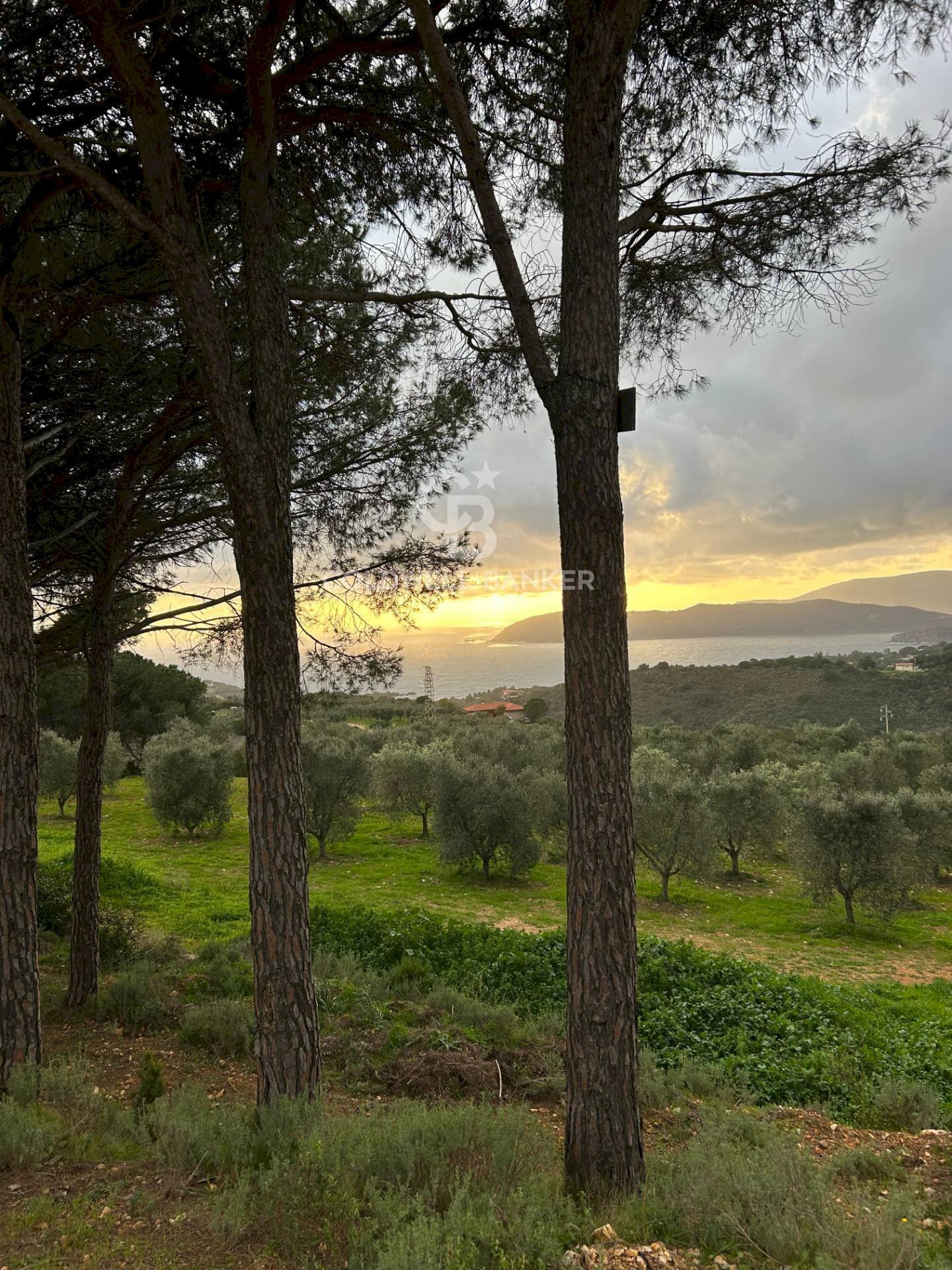 Foto 2 - Terreno agricolo Porto Azzurro - foto 2