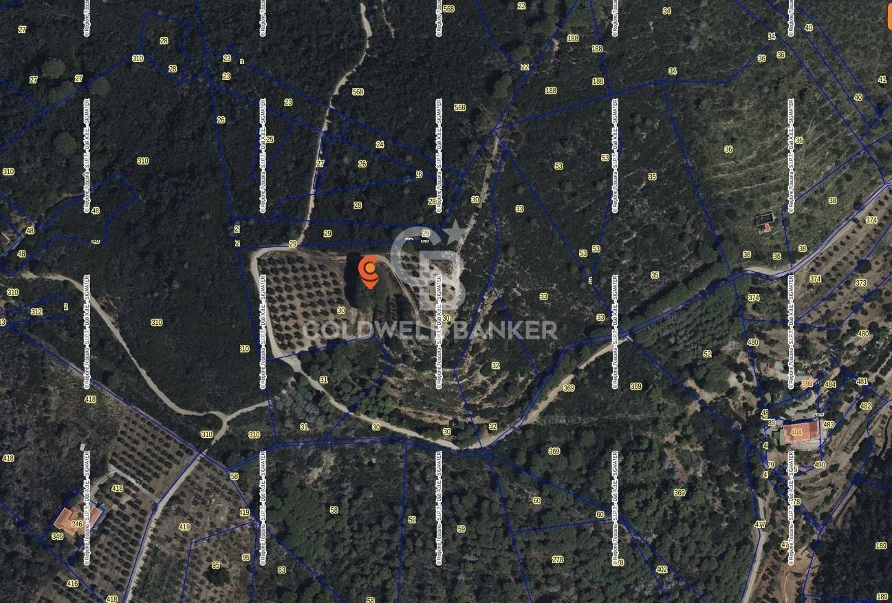 Foto 3 - Terreno agricolo Porto Azzurro - foto 3