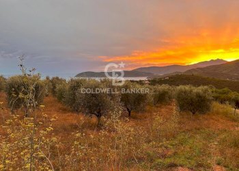 Foto 1 - Terreno agricolo Porto Azzurro - foto 1