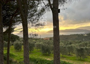 Foto 2 - Terreno agricolo Porto Azzurro - foto 2