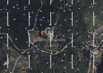 Foto 3 - Terreno agricolo Porto Azzurro - foto 3