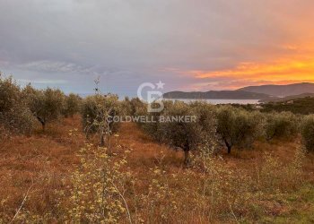 Foto 4 - Terreno agricolo Porto Azzurro - foto 4