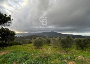 Foto 5 - Terreno agricolo Porto Azzurro - foto 5