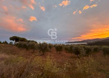 Foto 6 - Terreno agricolo Porto Azzurro - foto 6