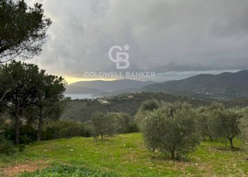 Foto 7 - Terreno agricolo Porto Azzurro - foto 7