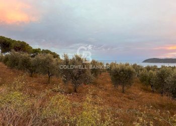 Foto 8 - Terreno agricolo Porto Azzurro - foto 8