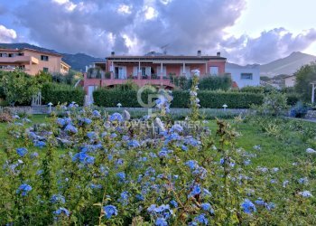 Foto 29 - Trilocale Loc. La Vecchia, Marciana Marina - foto 29