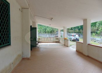 Foto 4 - Terreno agricolo mugnano del cardinale, Mugnano del Cardinale - foto 4