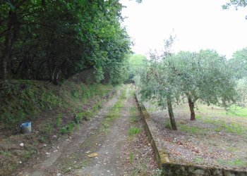 Foto 7 - Terreno agricolo mugnano del cardinale, Mugnano del Cardinale - foto 7