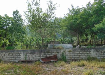 Foto 8 - Terreno agricolo mugnano del cardinale, Mugnano del Cardinale - foto 8