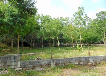 Foto 12 - Terreno agricolo mugnano del cardinale, Mugnano del Cardinale - foto 12