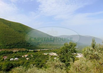 Foto 2 - Terreno agricolo mugnano del cardinale, Mugnano del Cardinale - foto 2