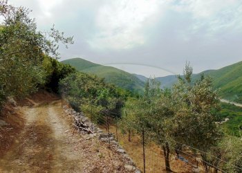 Foto 3 - Terreno agricolo mugnano del cardinale, Mugnano del Cardinale - foto 3