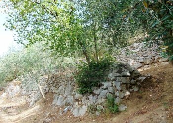 Foto 4 - Terreno agricolo mugnano del cardinale, Mugnano del Cardinale - foto 4