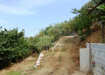 Foto 5 - Terreno agricolo mugnano del cardinale, Mugnano del Cardinale - foto 5