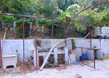 Foto 6 - Terreno agricolo mugnano del cardinale, Mugnano del Cardinale - foto 6