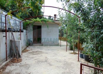 Foto 7 - Terreno agricolo mugnano del cardinale, Mugnano del Cardinale - foto 7