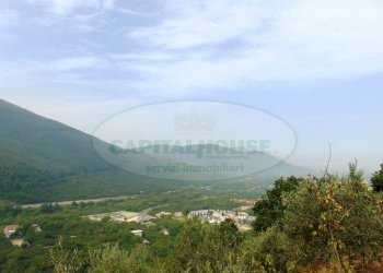 Foto 9 - Terreno agricolo mugnano del cardinale, Mugnano del Cardinale - foto 9