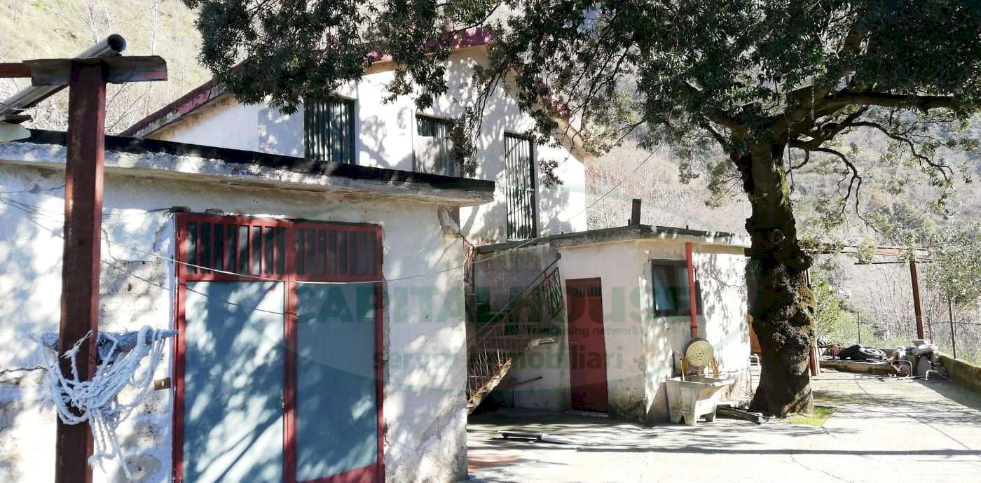 Foto 1 - Agricultural land quadrelle, Quadrelle - photo 1