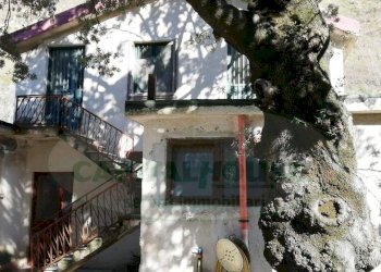 Foto 2 - Terreno agricolo quadrelle, Quadrelle - foto 2