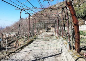 Foto 4 - Terreno agricolo quadrelle, Quadrelle - foto 4